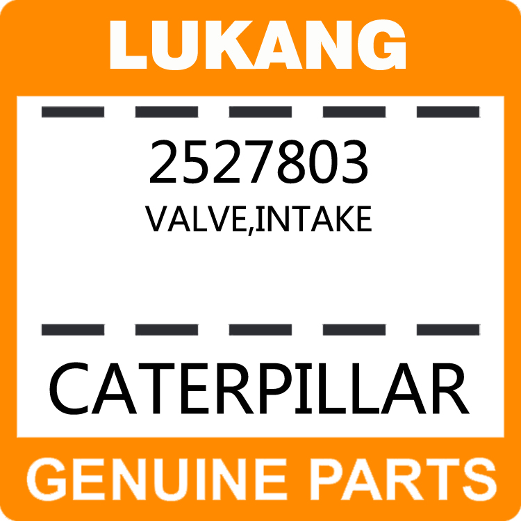 Valve-Intake 2527803-LUKANG-Engine Parts,Engine Valve,Valve Guide,Valve Seat