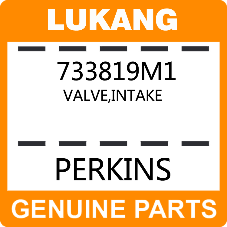 Valve-Intake 733819M1-LUKANG-Engine Parts,Engine Valve,Valve Guide,Valve Seat