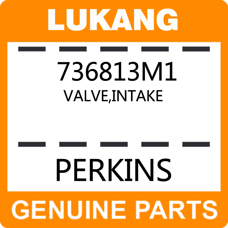 Valve-Intake 736813M1-LUKANG-Engine Parts,Engine Valve,Valve Guide,Valve Seat