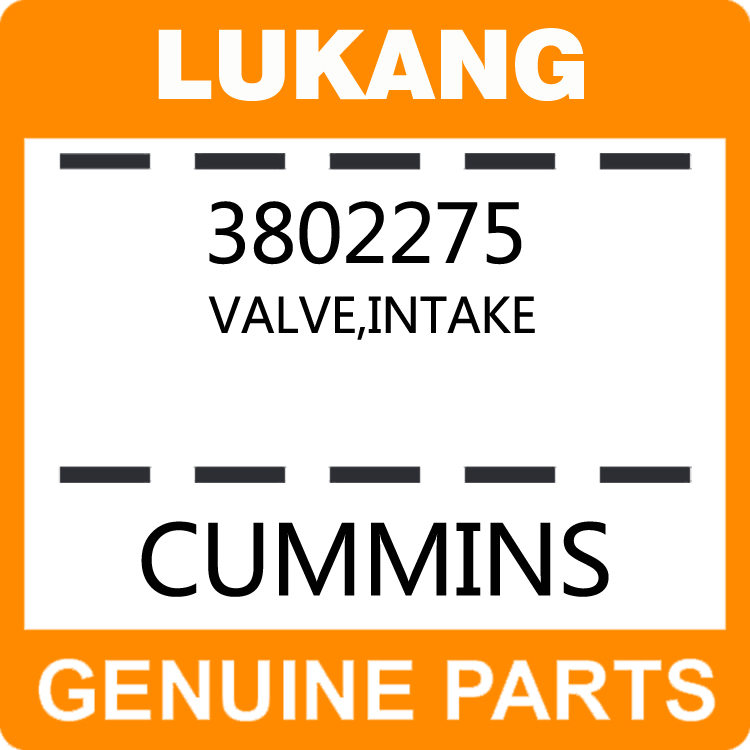 Valve-Intake 3802275-LUKANG-Engine Parts,Engine Valve,Valve Guide,Valve Seat