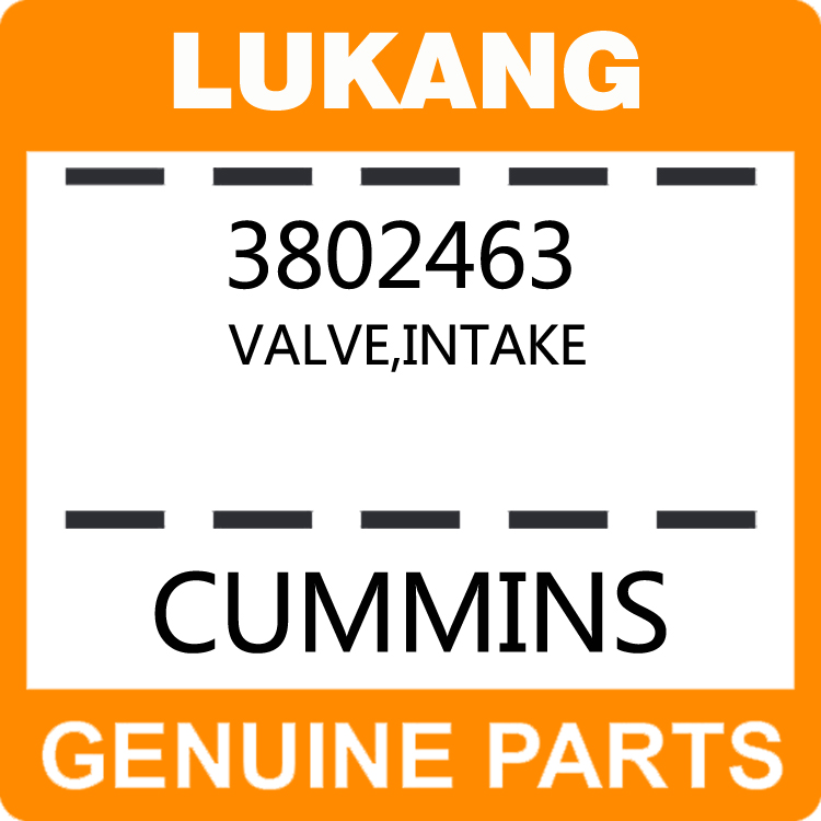 Valve-Intake 3802463-LUKANG-Engine Parts,Engine Valve,Valve Guide,Valve Seat