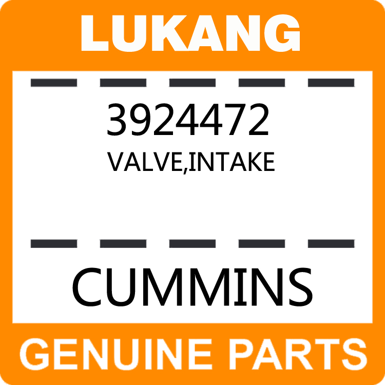 Valve-Intake 3924472-LUKANG-Engine Parts,Engine Valve,Valve Guide,Valve Seat