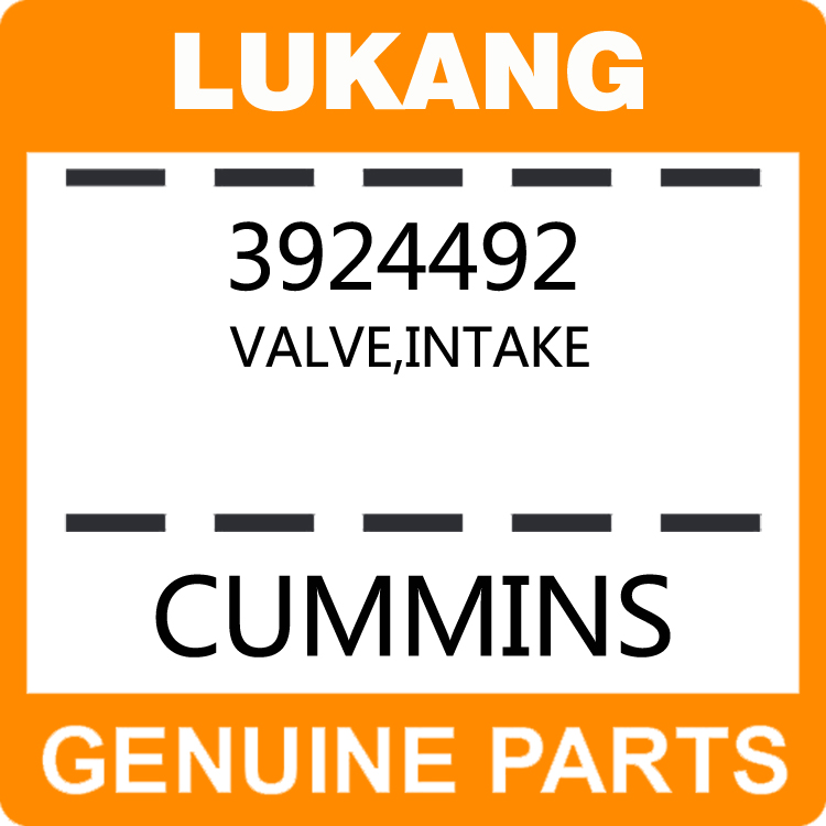 Valve-Intake 3924492-LUKANG-Engine Parts,Engine Valve,Valve Guide,Valve Seat