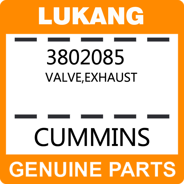 Valve-Exhaust 3802085-LUKANG-Engine Parts,Engine Valve,Valve Guide,Valve Seat