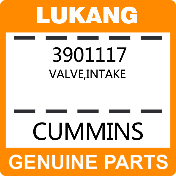 Valve-Intake 3901117-LUKANG-Engine Parts,Engine Valve,Valve Guide,Valve Seat