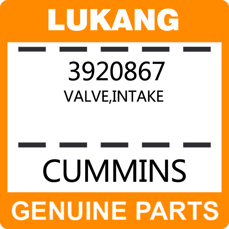 Valve-Intake 3920867-LUKANG-Engine Parts,Engine Valve,Valve Guide,Valve Seat