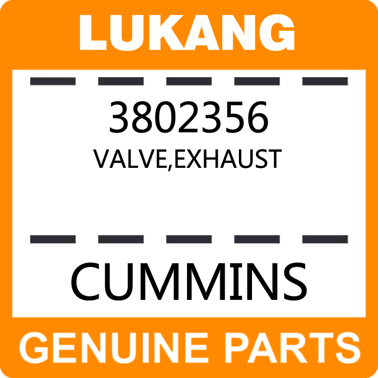 Valve-Exhaust 3802356-LUKANG-Engine Parts,Engine Valve,Valve Guide,Valve Seat