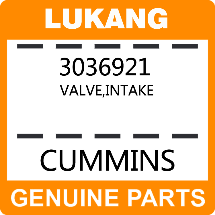 Valve-Intake 3036921-LUKANG-Engine Parts,Engine Valve,Valve Guide,Valve Seat