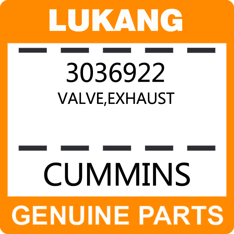 Valve-Exhaust 3036922-LUKANG-Engine Parts,Engine Valve,Valve Guide,Valve Seat