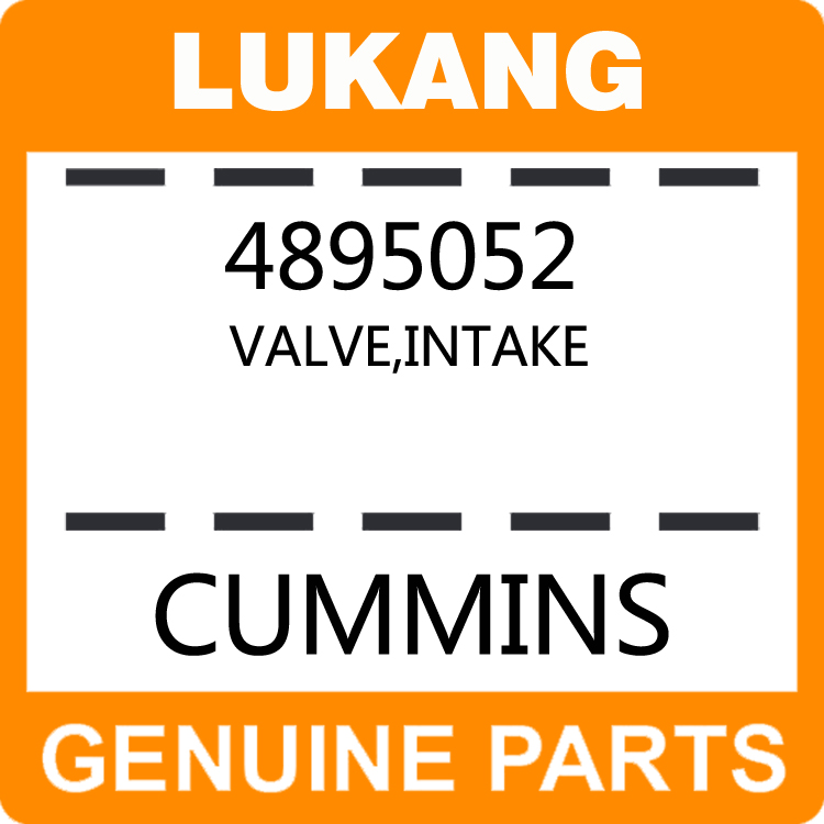 Valve-Intake 4895052-LUKANG-Engine Parts,Engine Valve,Valve Guide,Valve Seat