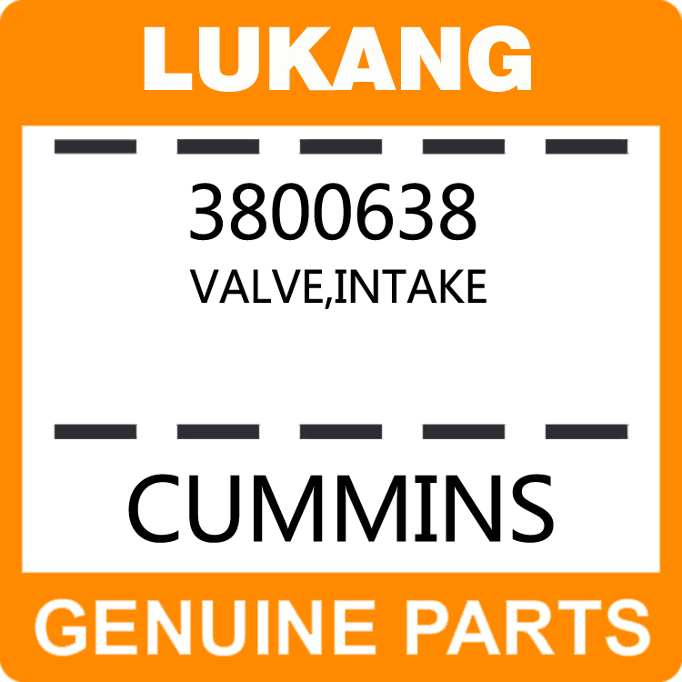 Valve-Intake 3800638-LUKANG-Engine Parts,Engine Valve,Valve Guide,Valve Seat