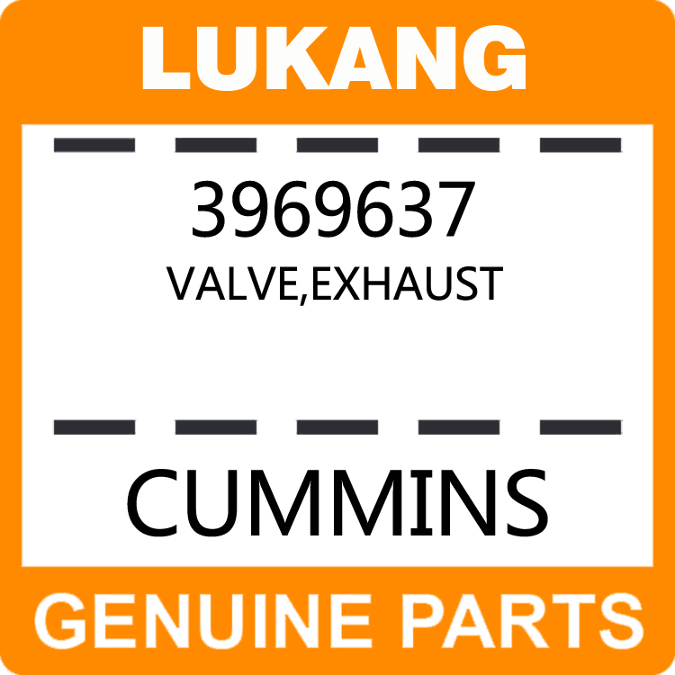 Valve-Exhaust 3969637-LUKANG-Engine Parts,Engine Valve,Valve Guide,Valve Seat