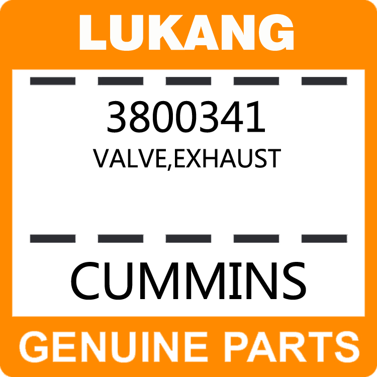 Valve-Exhaust 3800341-LUKANG-Engine Parts,Engine Valve,Valve Guide,Valve Seat